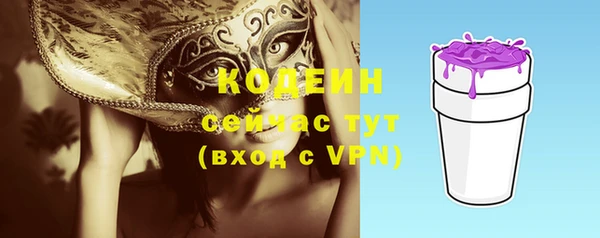 гидра Гусь-Хрустальный