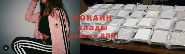 стаф Гусев