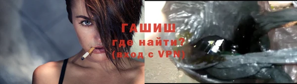 стаф Гусев