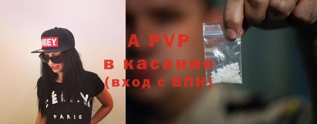 стаф Гусев