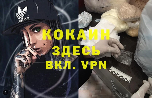 стаф Гусев